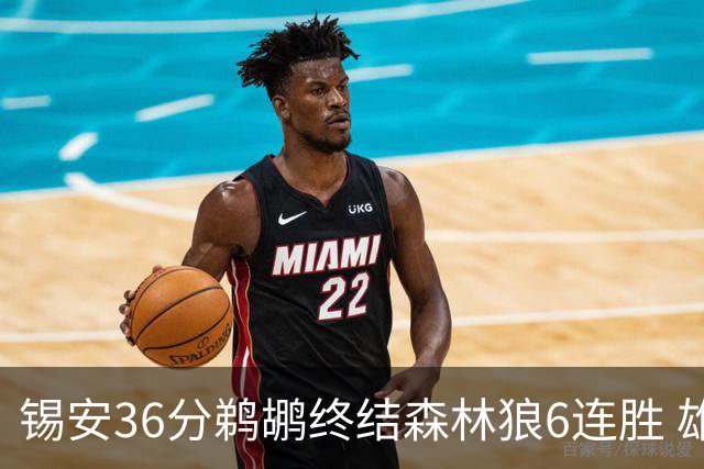 锡安36分鹈鹕终结森林狼6连胜 雄鹿险胜公牛
